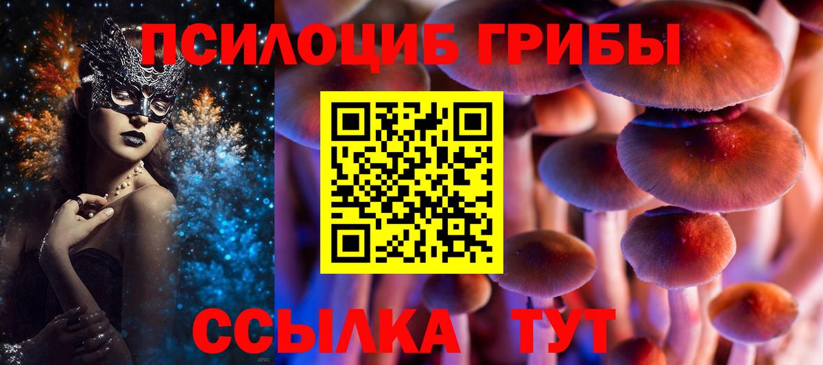 Находка  Псилоцибиновые грибы Psilocybine cubensis  Вход с VPN 