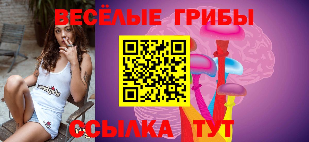 Псилоцибиновые грибы ЛСД Находка